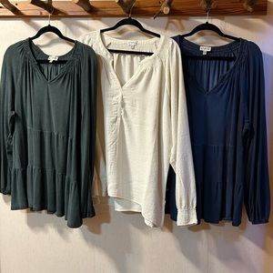 3 Wonderly Brand Tops from Belk’s. XL, XXL, and PXXL.